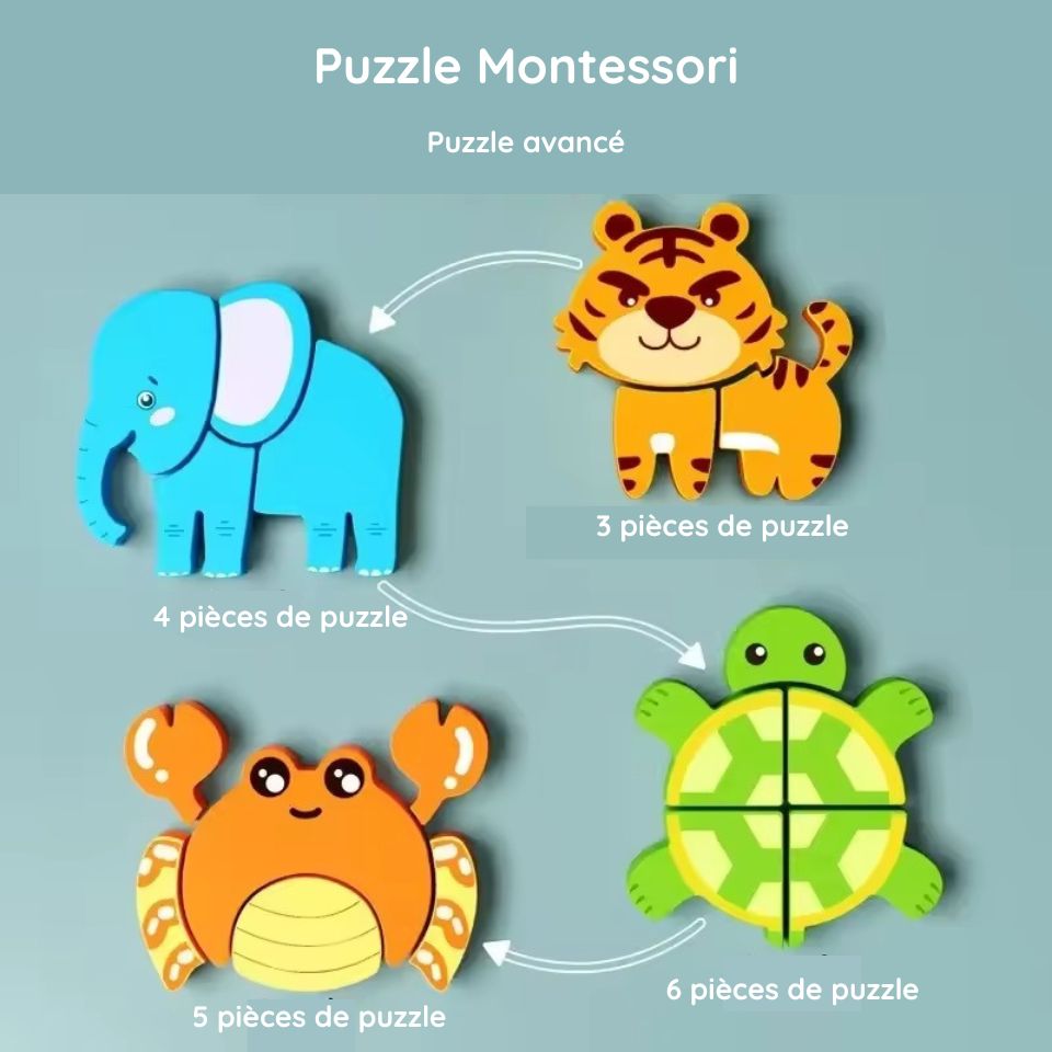 Puzzle d'Encastrement en Bois Montessori