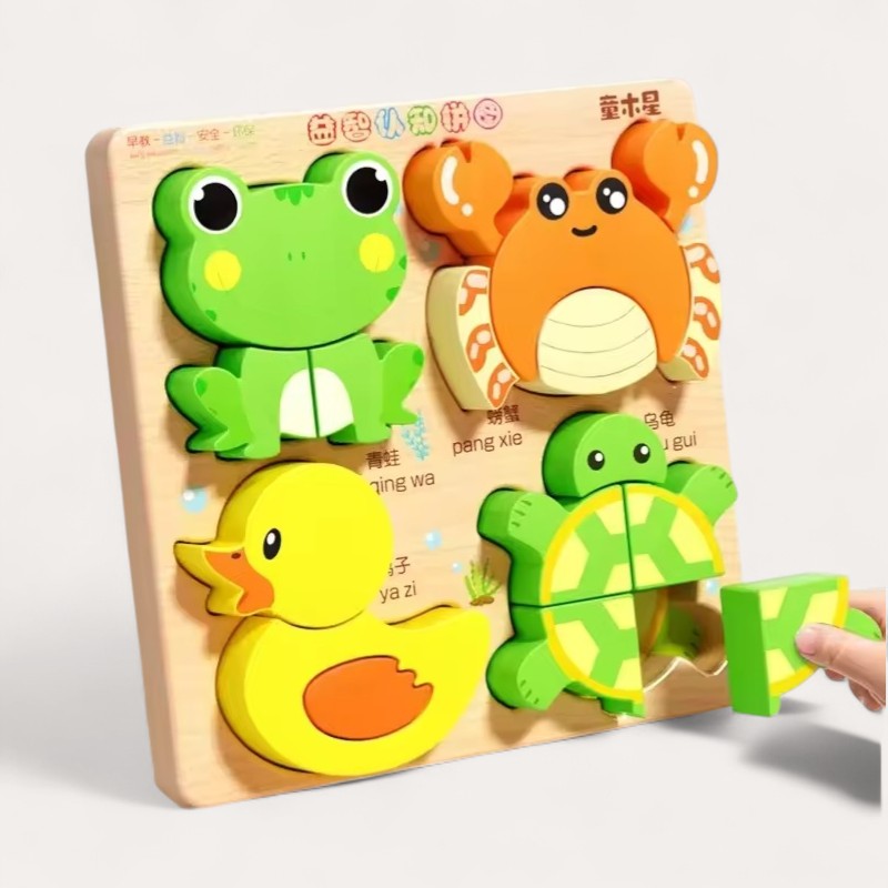 Puzzle d'Encastrement en Bois Montessori